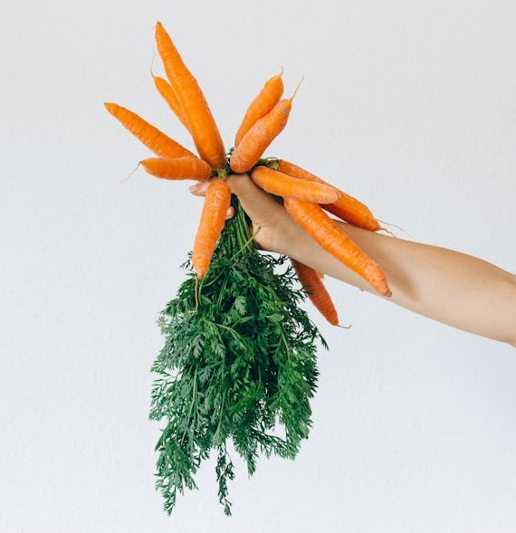 Organic green vegetables